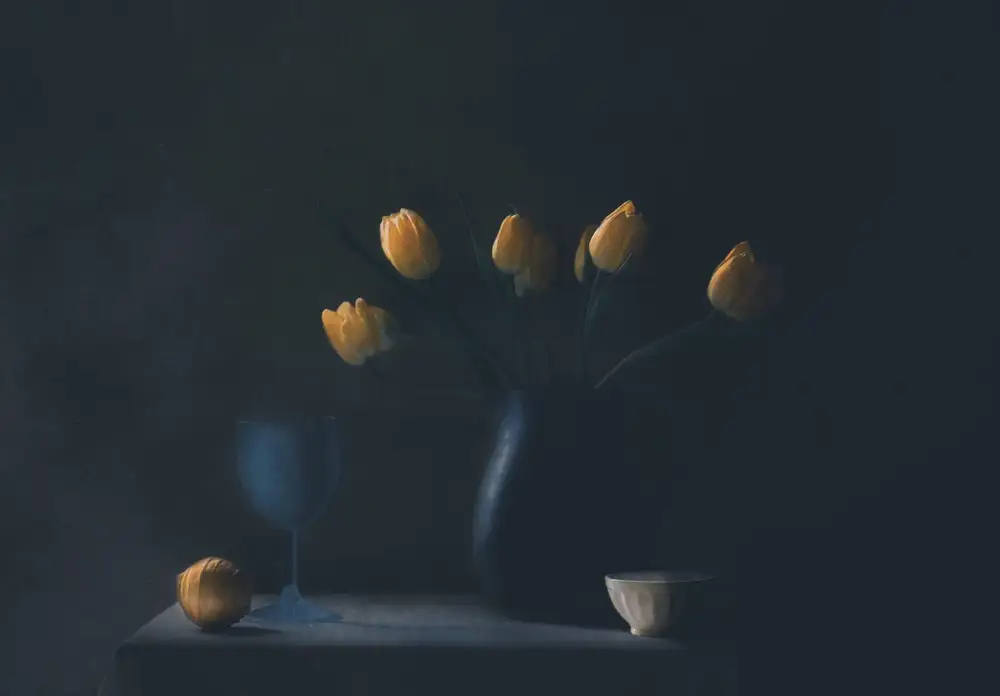 Devos, Delphine: Alcuni tulipani