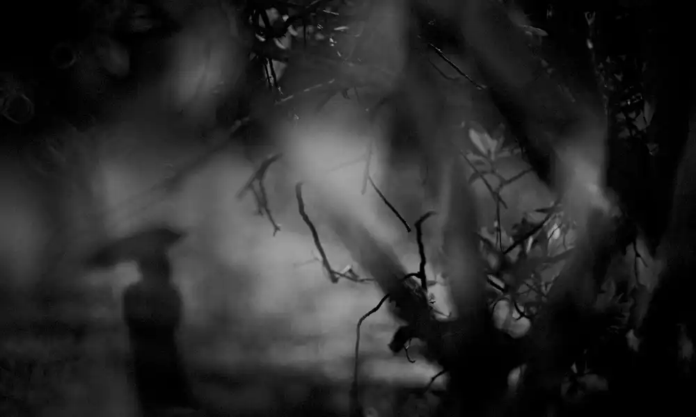 Tsuchida, Teruhiko: Solitude