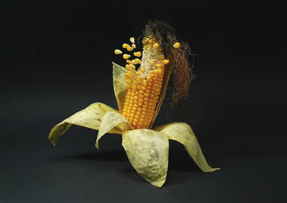 Leon: Popcorn