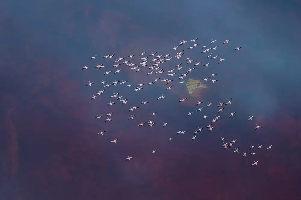 Jiang, Hao : Over the misty purple pattern