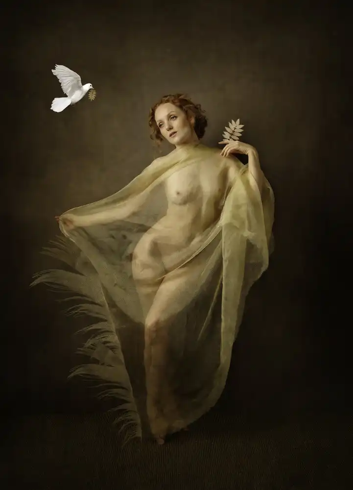 Studio, Catchlight: Colomba autunnale