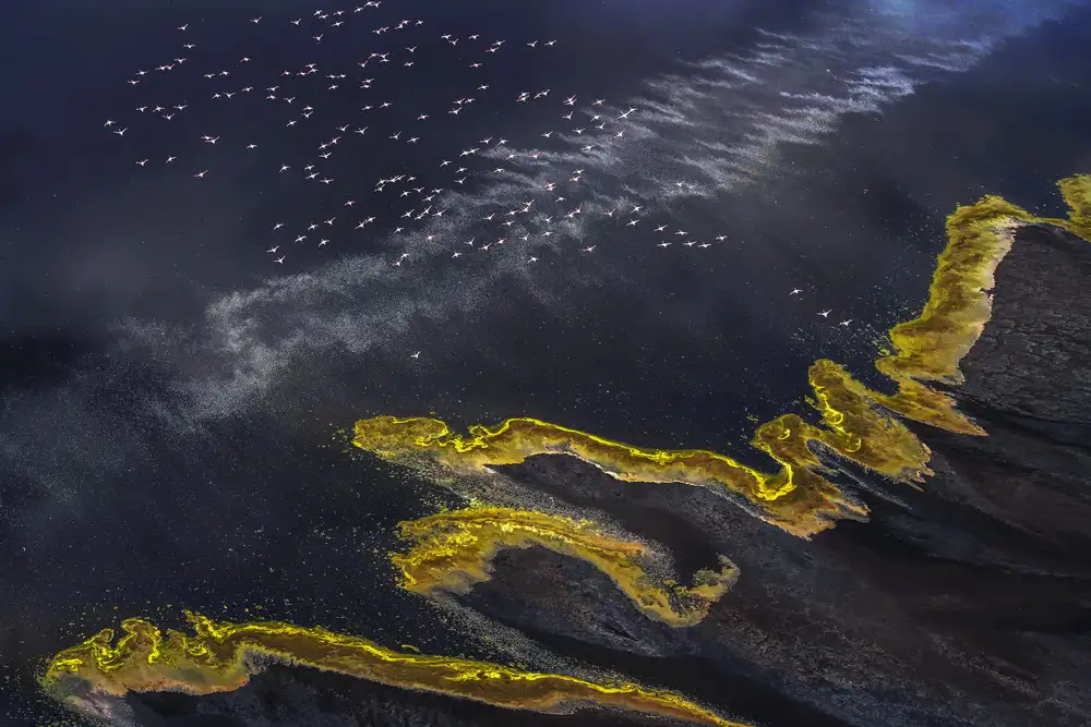 Liu, Ren Raymond: Volare sul Lago Magadi - 5