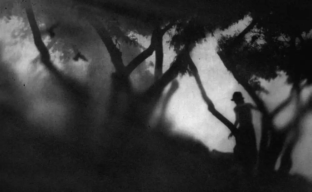 Tsuchida, Teruhiko: Luz y oscuridad...