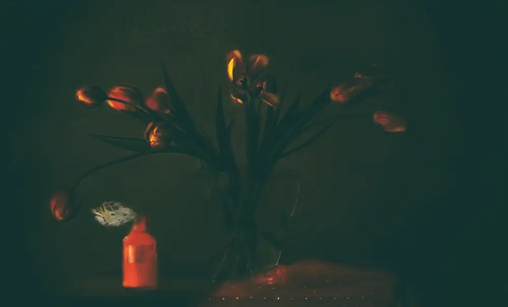 Devos, Delphine: Nature morte aux tulipes