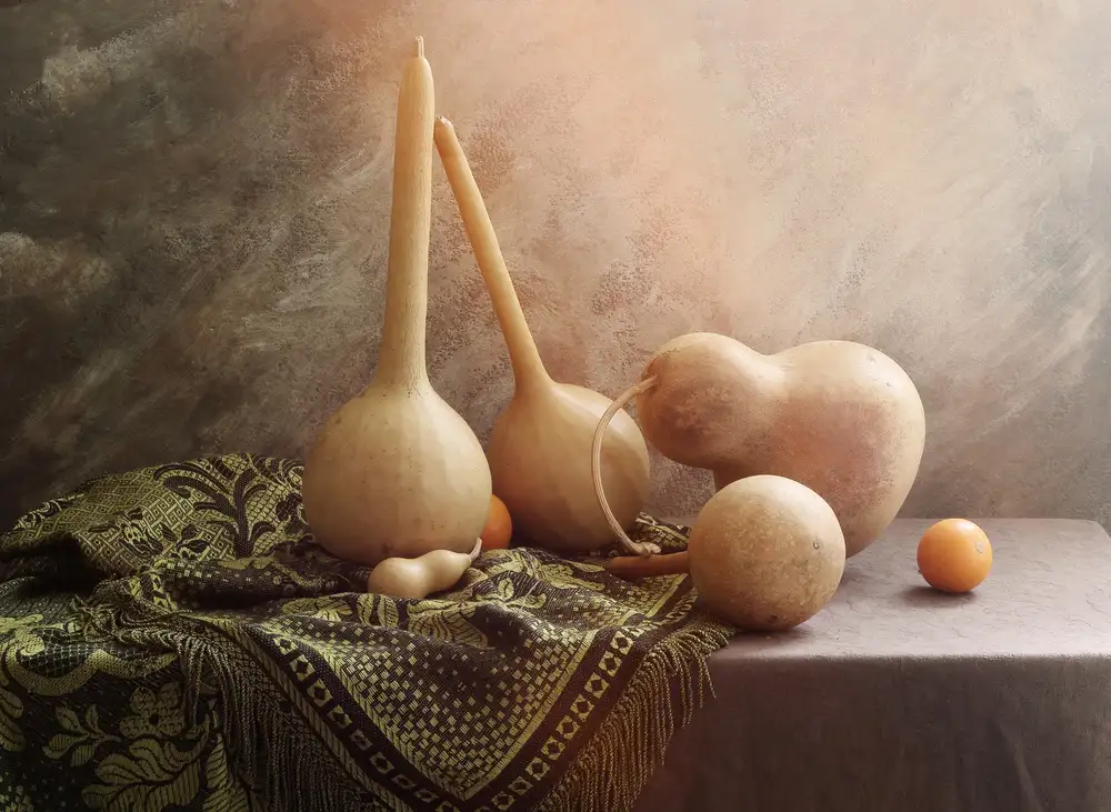 UstinaGreen: Bodegón con calabazas medicinales.