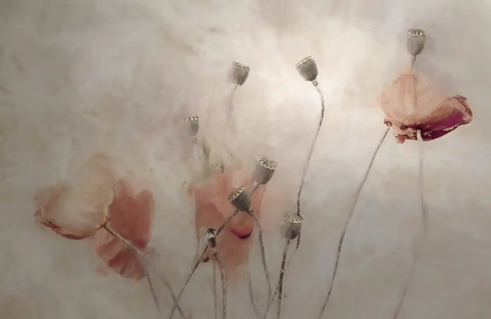 Claes, Gilbert: chapeaux gambadants