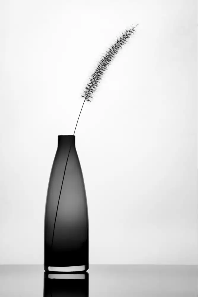 Amer, Eyal: Minimalist