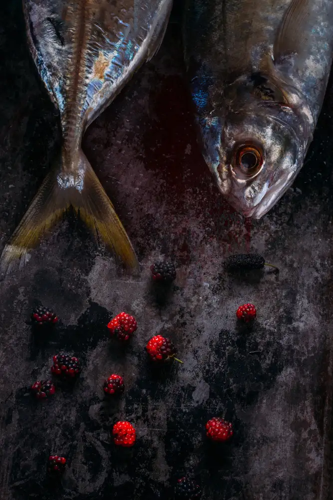 Kazamil, Farid: Manchas de sangre