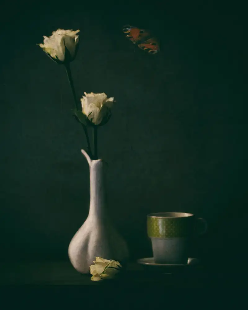 Devos, Delphine: Roses blanches
