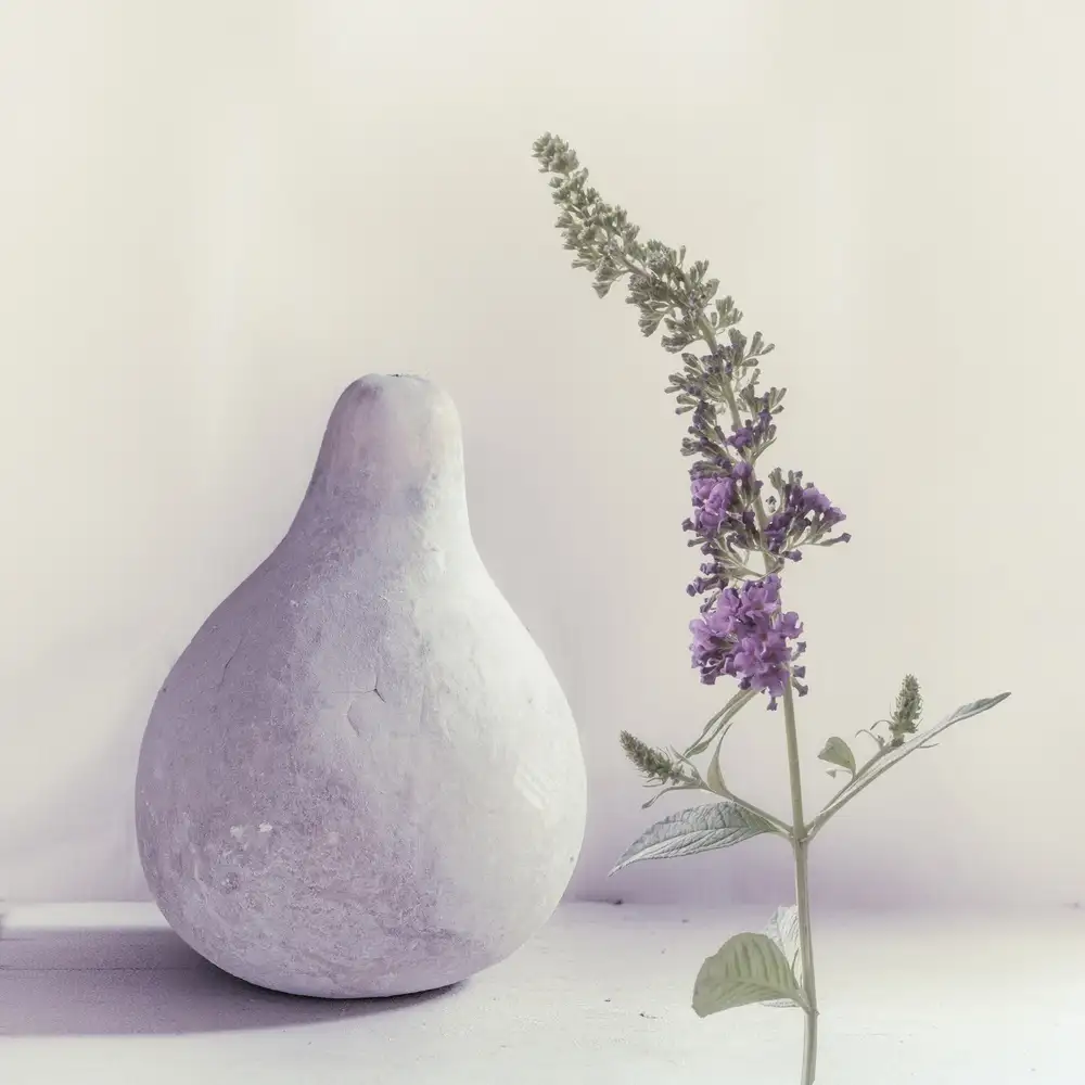 Flour, Piet: lila de verano