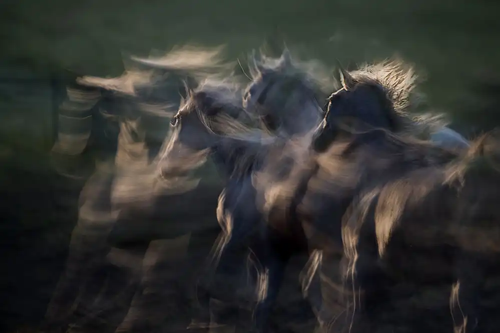 Malovrh, Milan: im Galopp