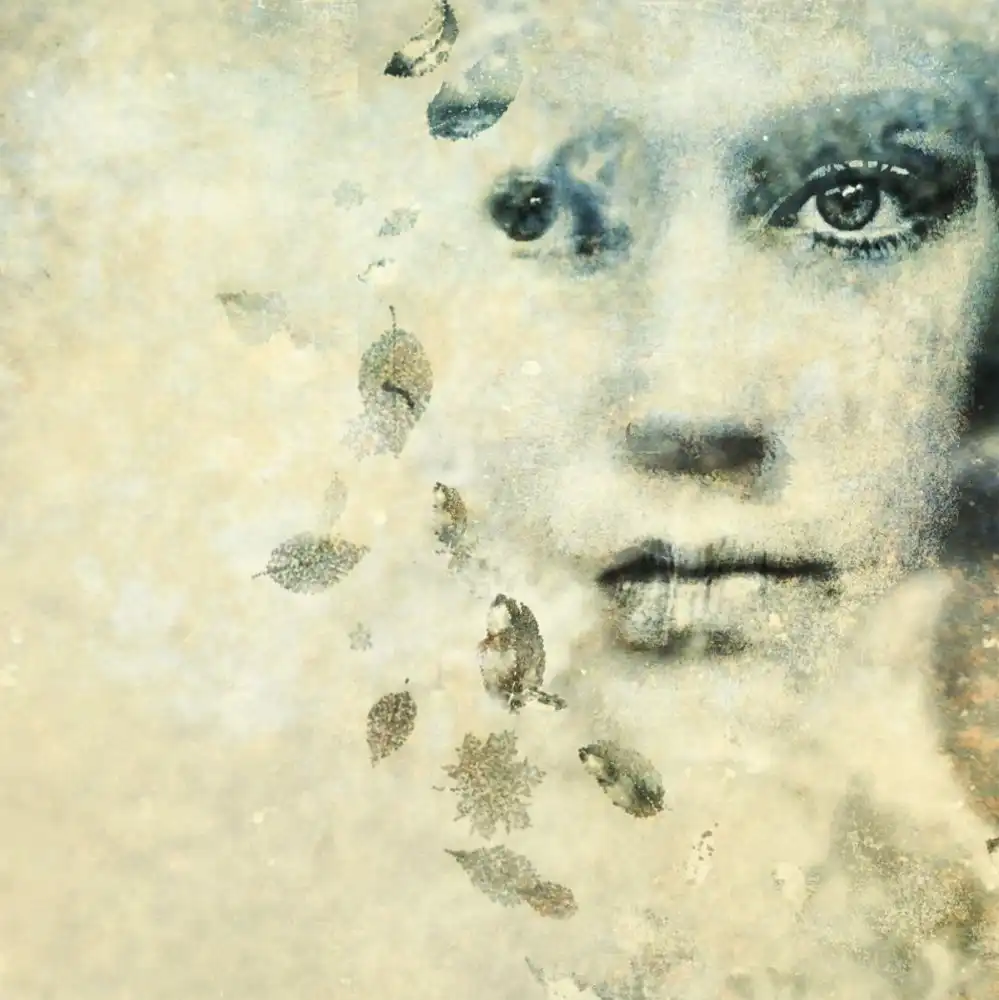 Artography, Byka: hojas