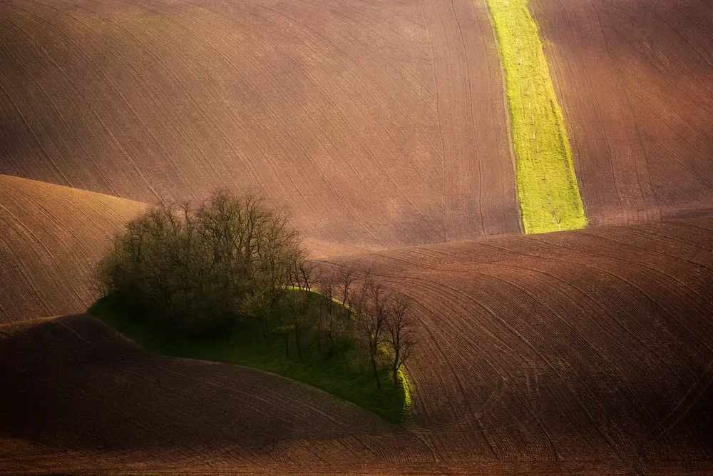 Rojek, Tomasz: Hügellandschaft