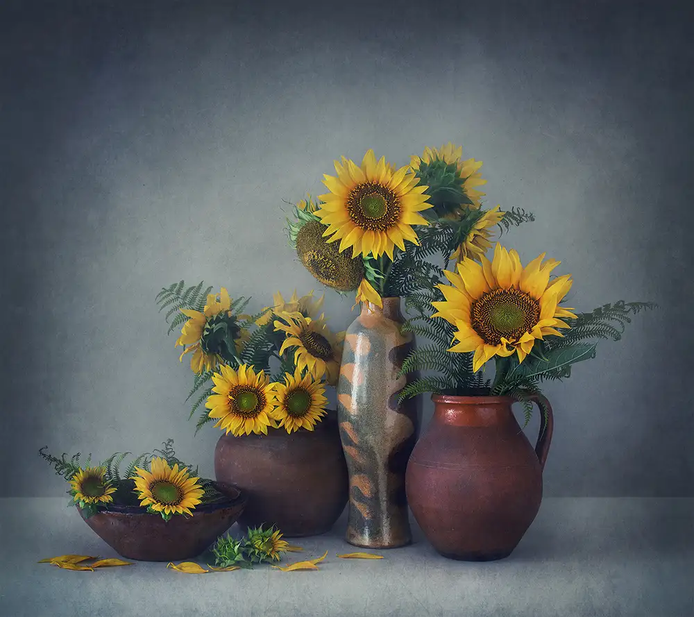 Dim, - Dimitar: Natura morta con girasoli
