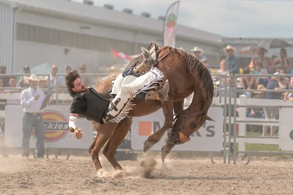 Zhao, Henry: Chute