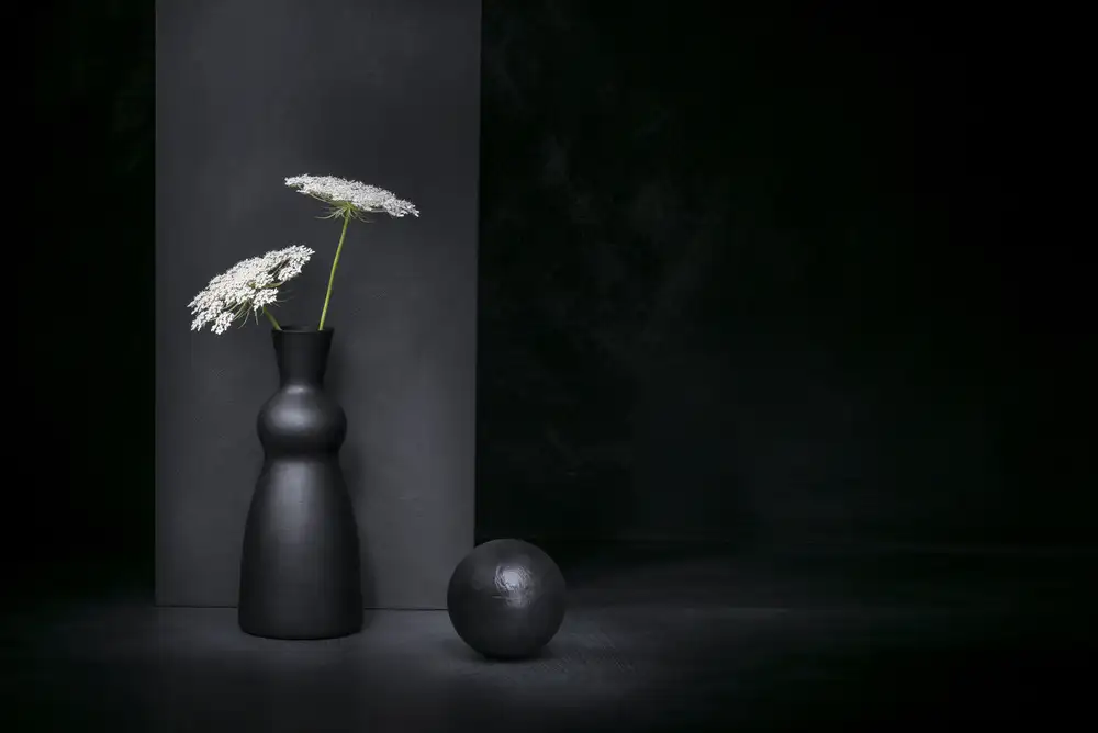 Verot, Christophe: Umbelliferous