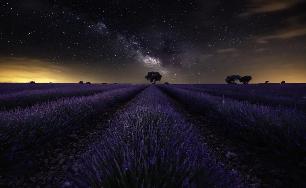 Dueso, Ruiz Jorge: Fields of Castilla