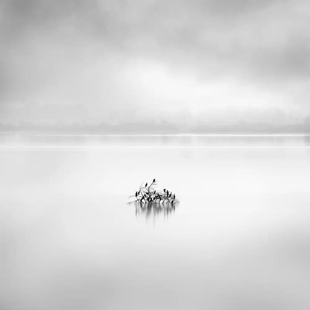 Digalakis, George: Lac Koroneia 005