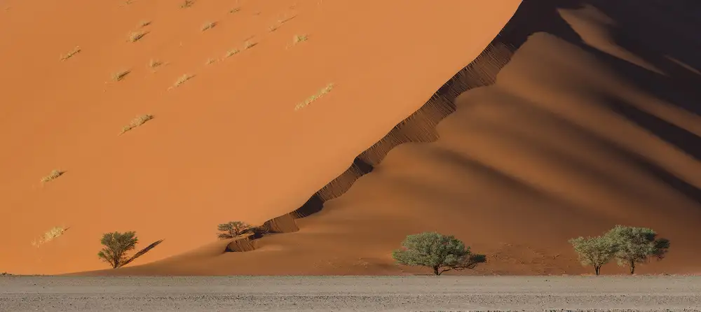 Marchegiani, Roberto: Duna