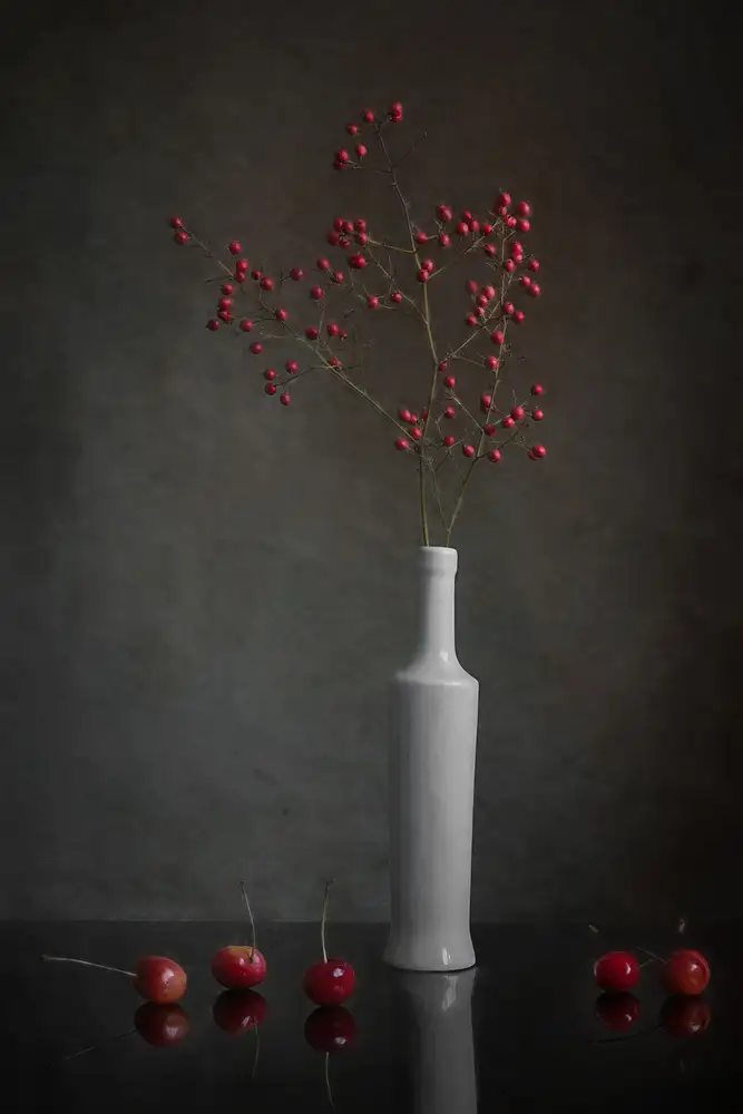 Jacobs, Lydia: Ciliegie Ranieri
