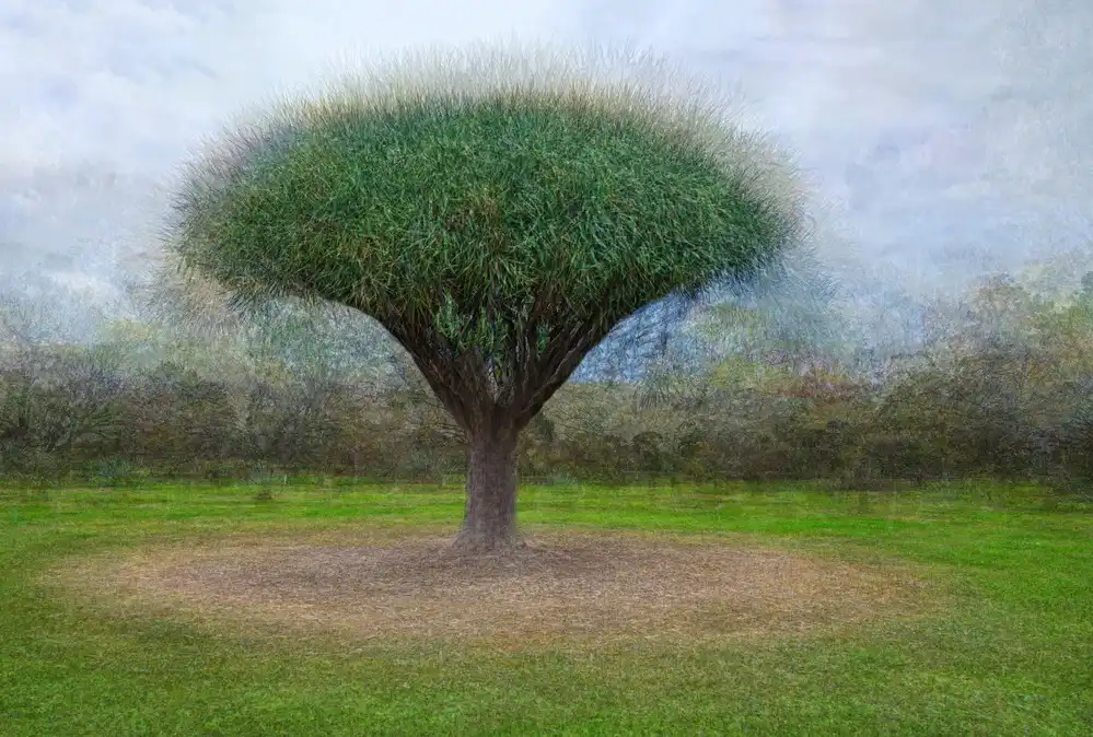 Pearson, Wayne: Kolem a kolem Mulberry Bush