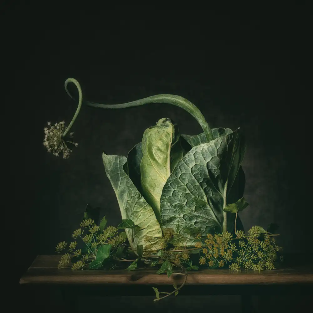 Velzen, van Monique: Un conte de fée vert