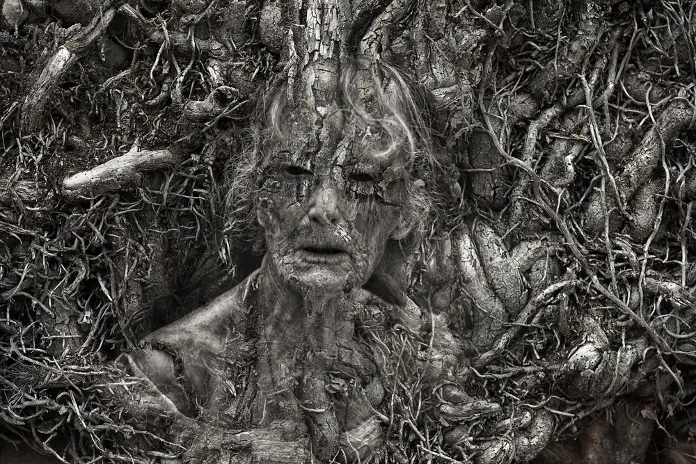 Benezech, Martine: Depths of Time