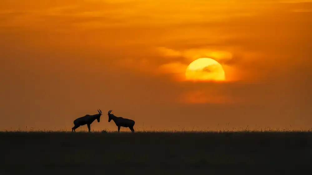 Zuo, Jun: Beim Sonnenuntergang