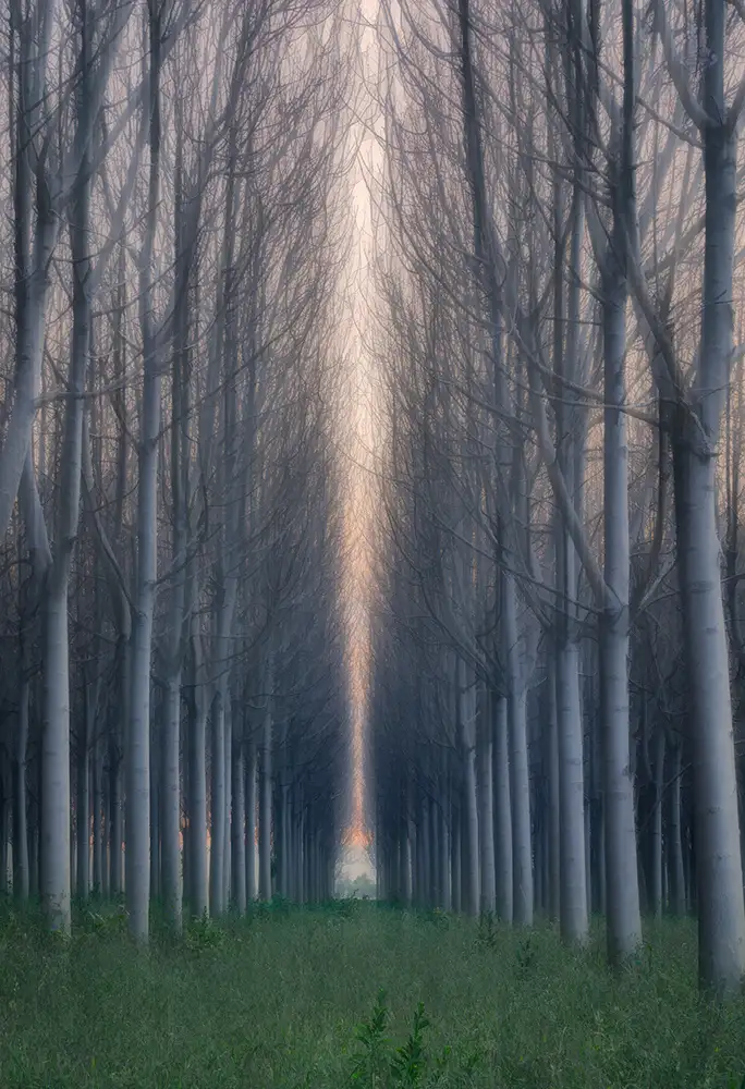 Zhu, Jingshu: Moment der Stille