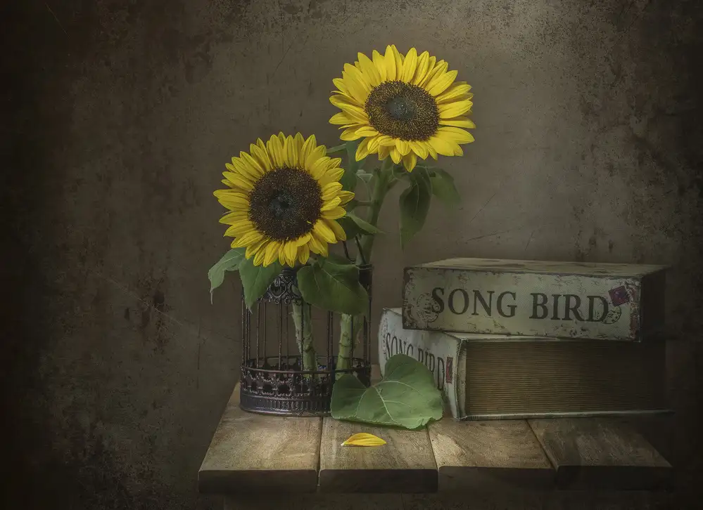 Perfoncio, Margareth: Sunflower