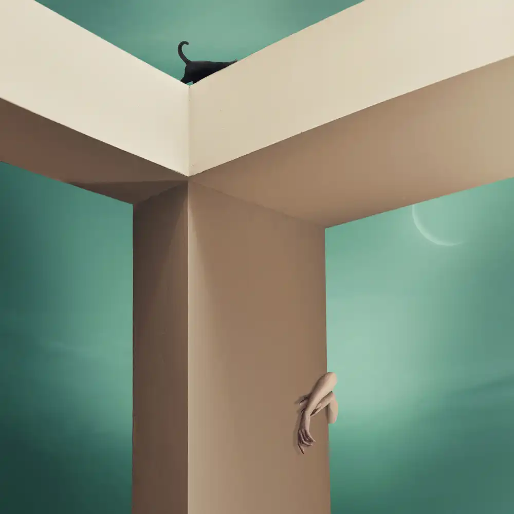 hardibudi: Cerca e troverai - Y