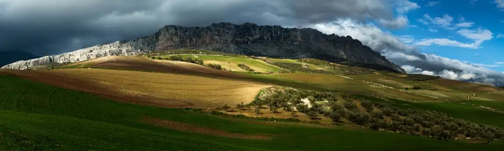 Witjes, Max: Villanueva de la Concepción