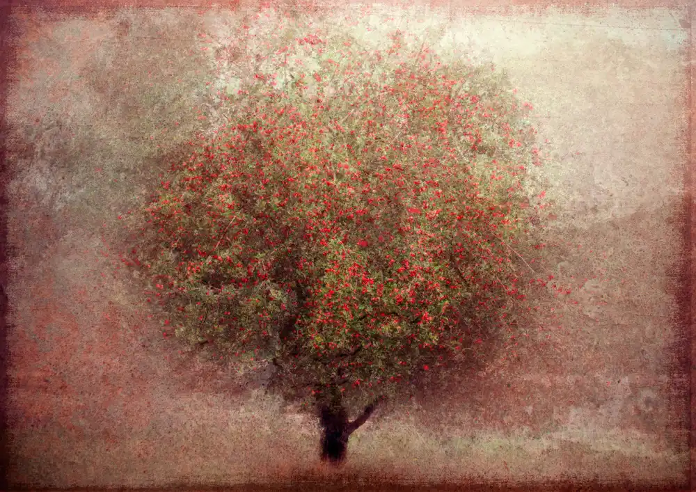 Holmström, Katarina: Apfelbaum