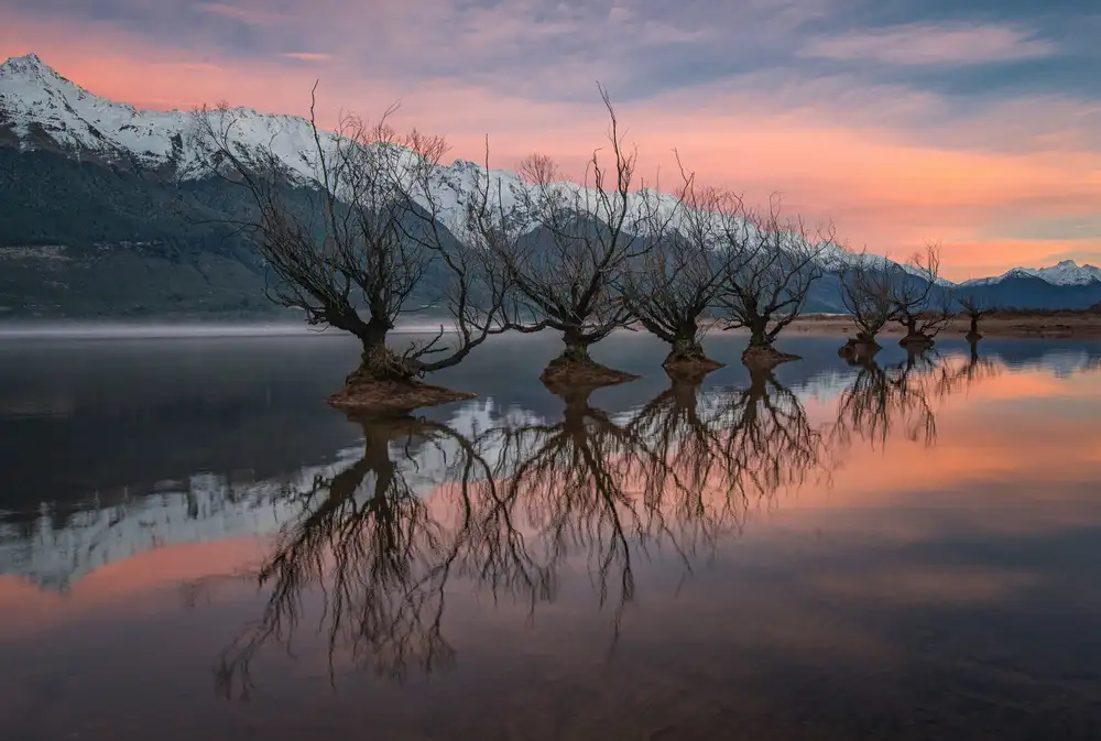 Xie, April: One Calm Pink Sunrise
