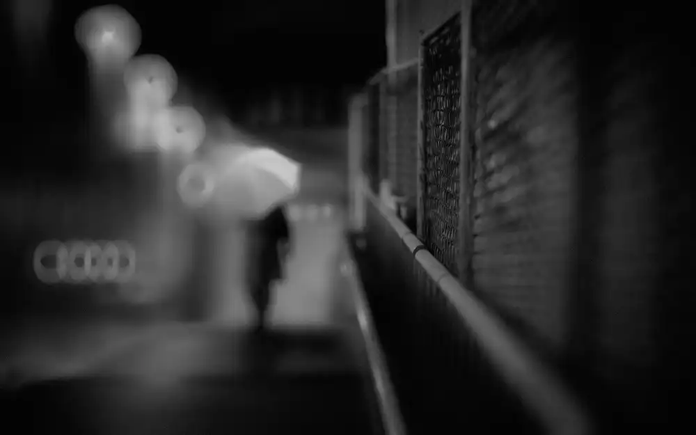 Tsuchida, Teruhiko: Rainy night