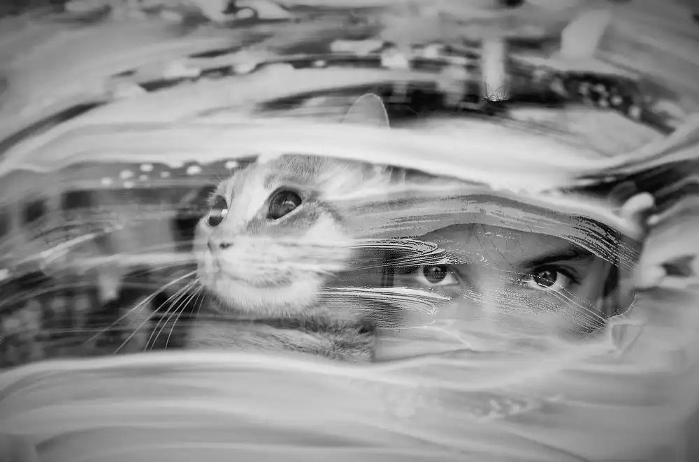 Basa, Emine: gato y niña
