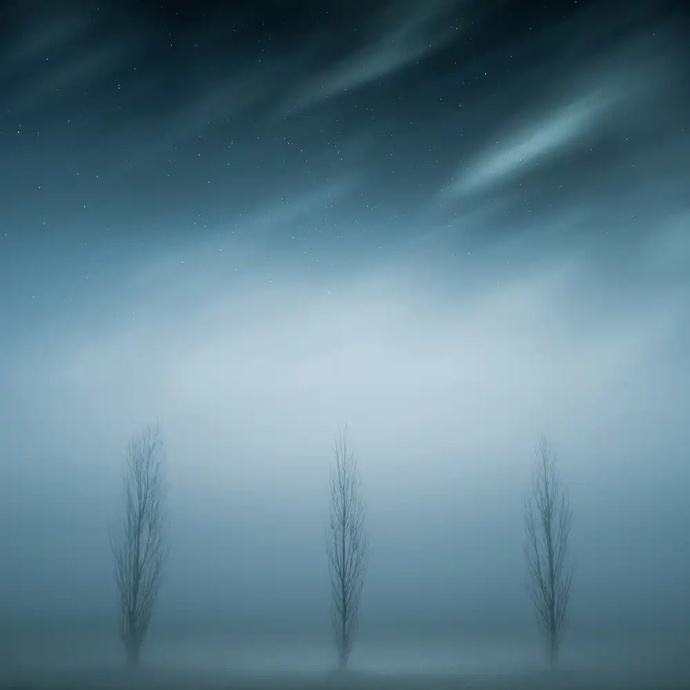 Fraccaroli, Andrea: Drei