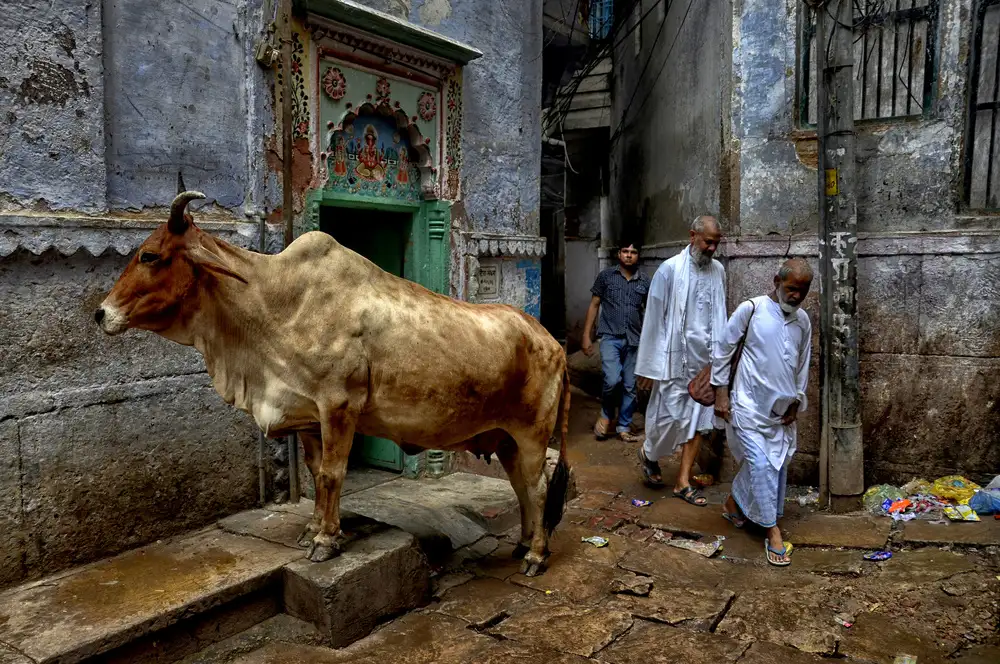 Das, Avishek: Ulice Varanasi