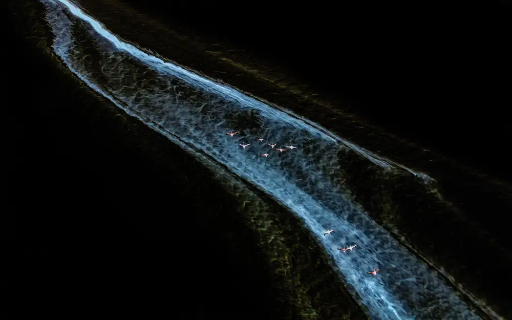 Chen, J. John: Light Tunnel