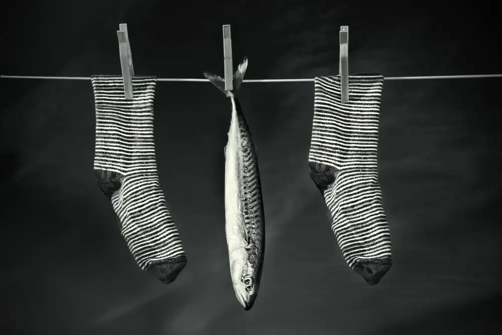 ARPS, McCusker Mike: Fisch auf der Leine