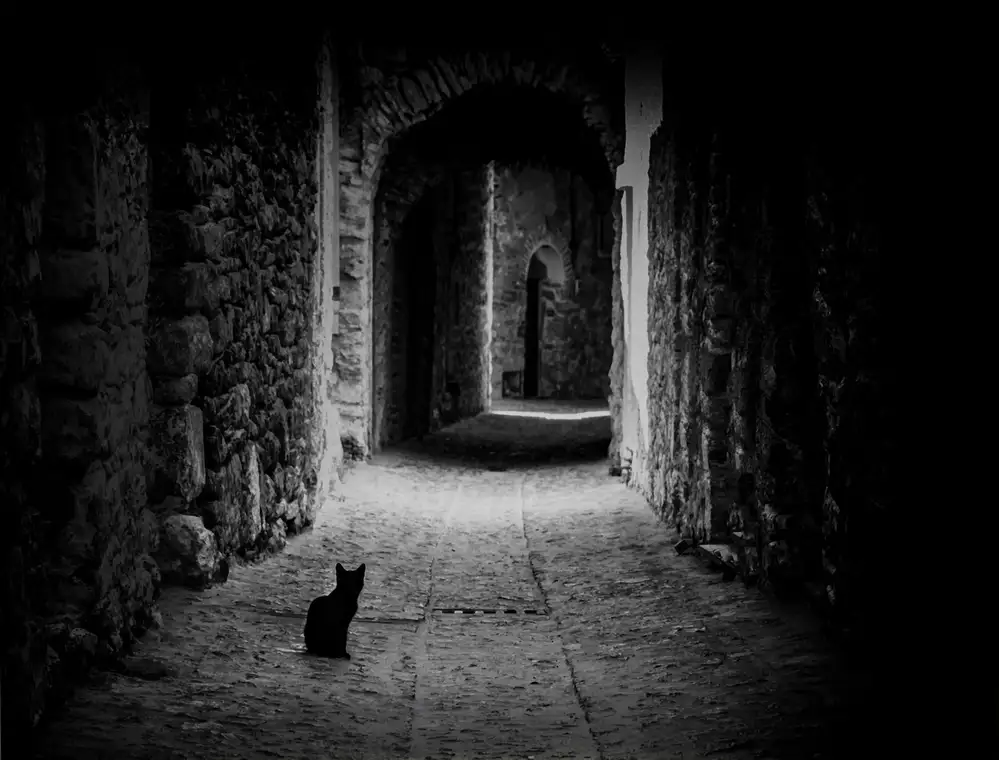 Kızıltug, Ates Ömer: Sentiero del gatto nero