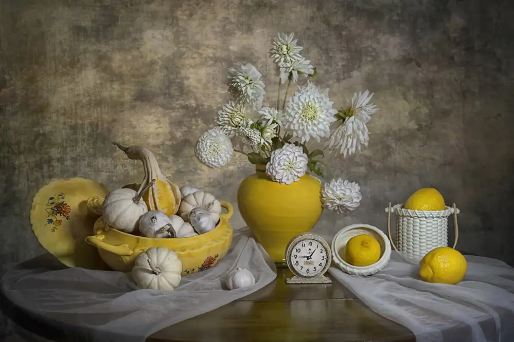 Jacobs, Lydia: Fleurs de dahlia blanches