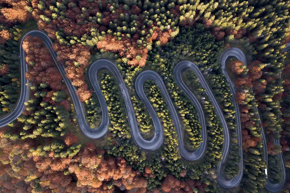 Amer, Eyal: The beautiful road