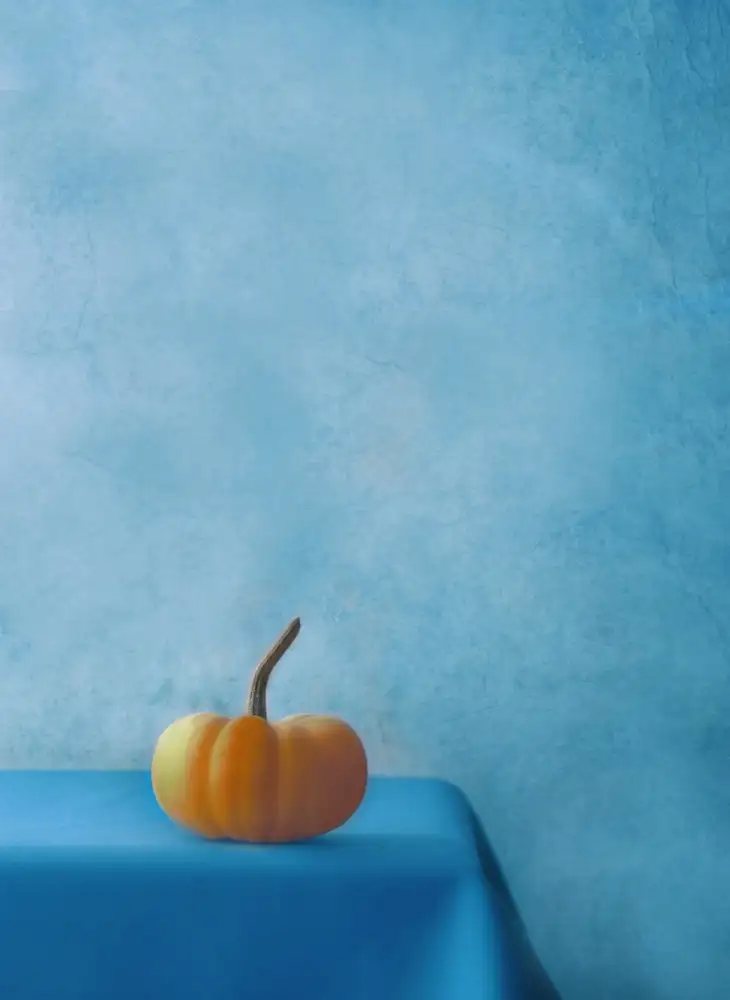 Devos, Delphine: Zucca sul blu