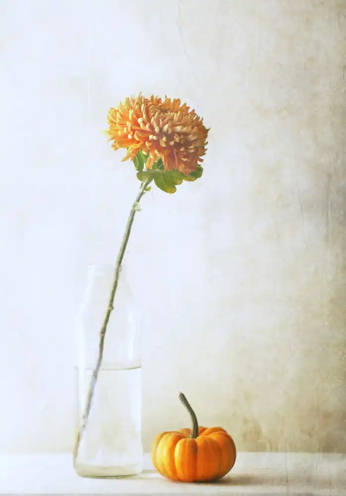 Devos, Delphine: Fiore d'Autunno