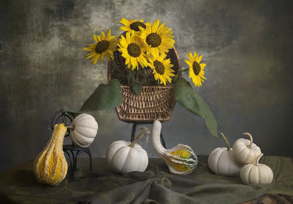 Jacobs, Lydia: Zucchine