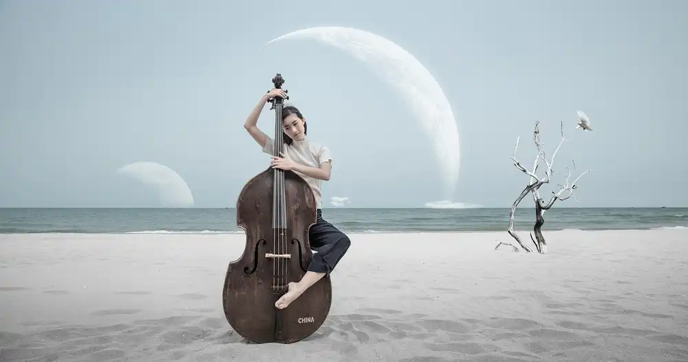 Z, Bingo: Mon univers musical