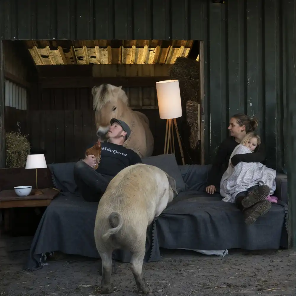Bosch, den Gert: Sundays 2