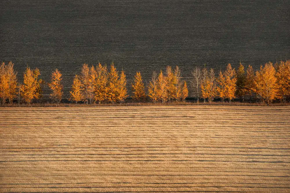 Tianqi: Herbstfarben