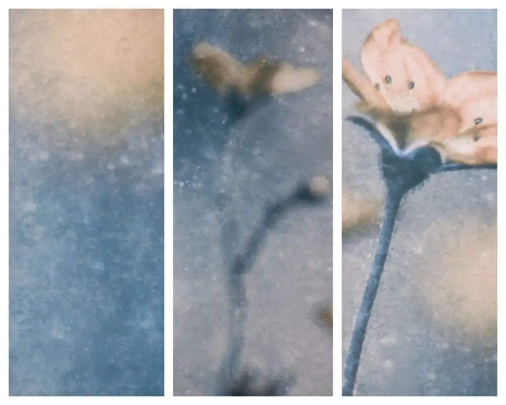 Devos, Delphine: Blu Inverno (Trittico)